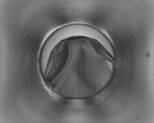 X0000089951132200707271834