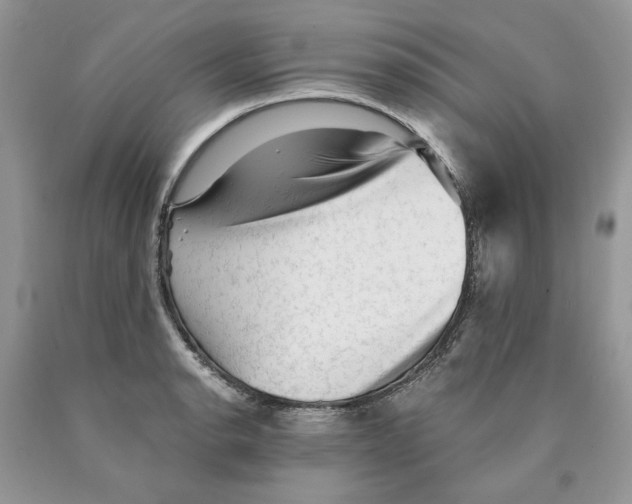 X0000089951134200707271834