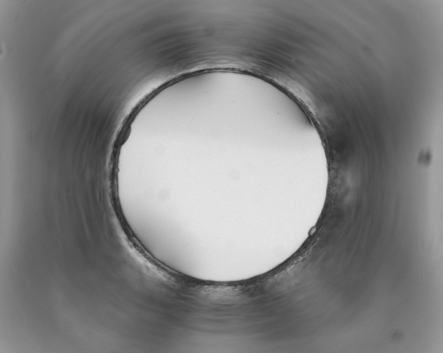 X0000089951135200707271834