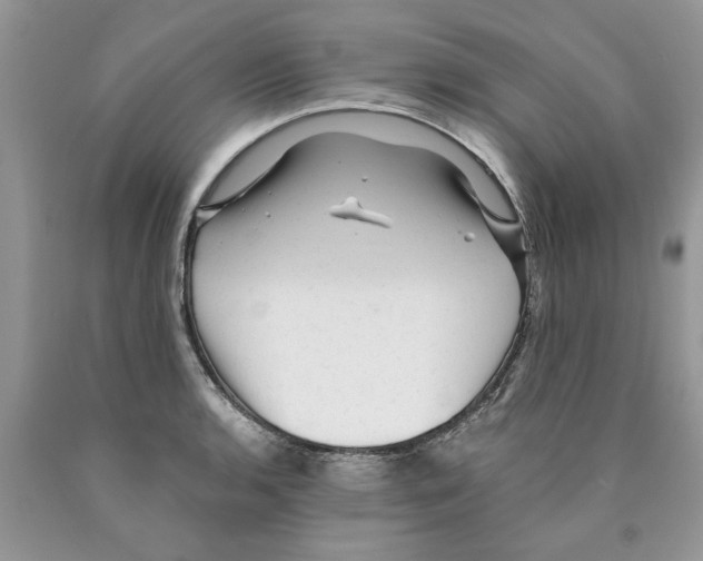 X0000089951136200707271834