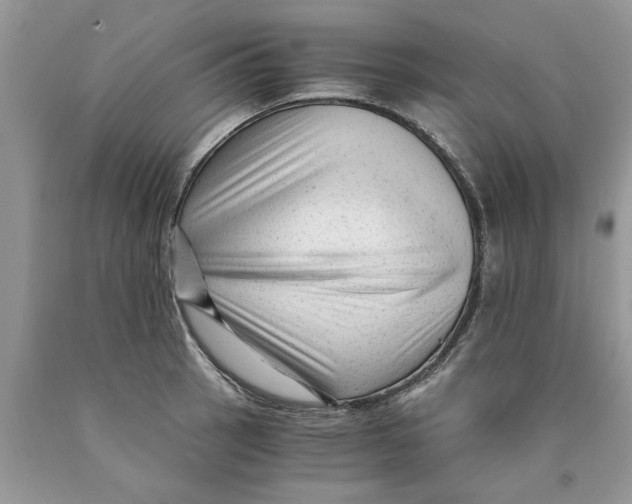 X0000089951137200707271834