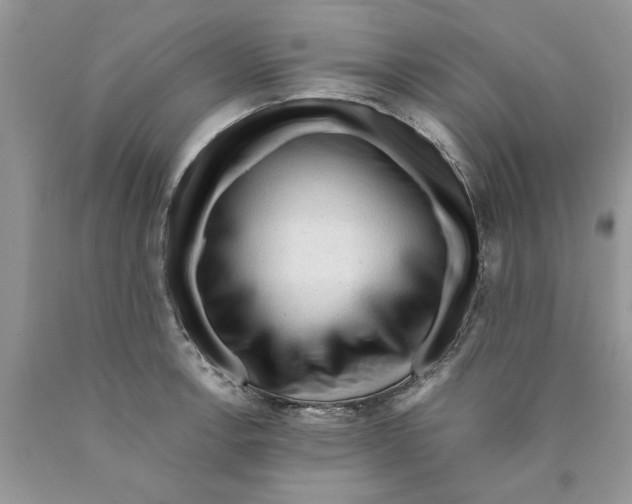 X0000089951138200707271834