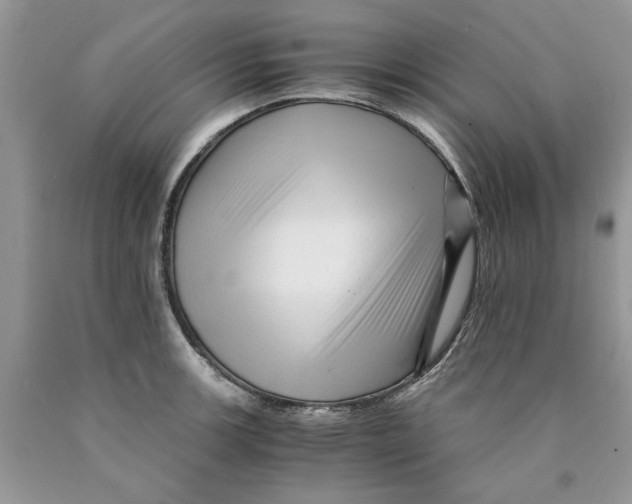 X0000089951139200707271834