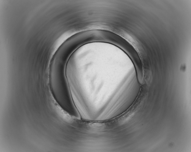 X0000089951140200707271834