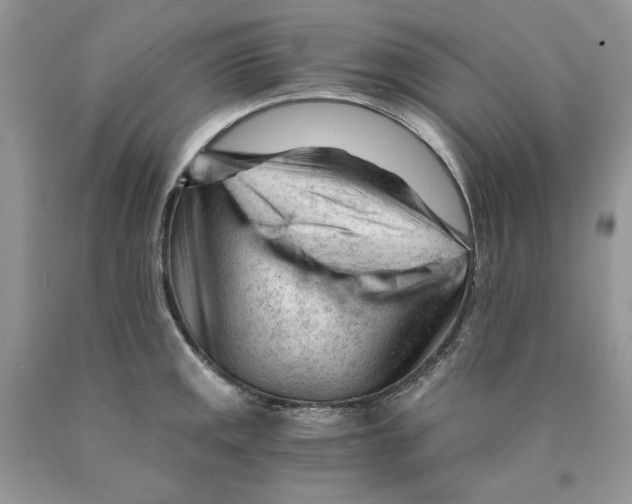 X0000089951141200707271834