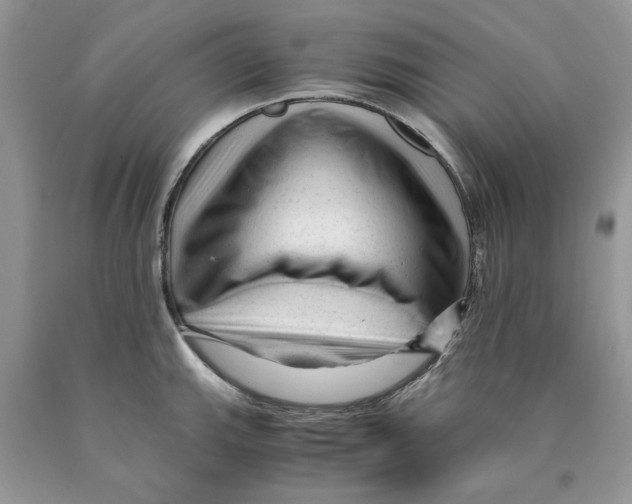 X0000089951143200707271834