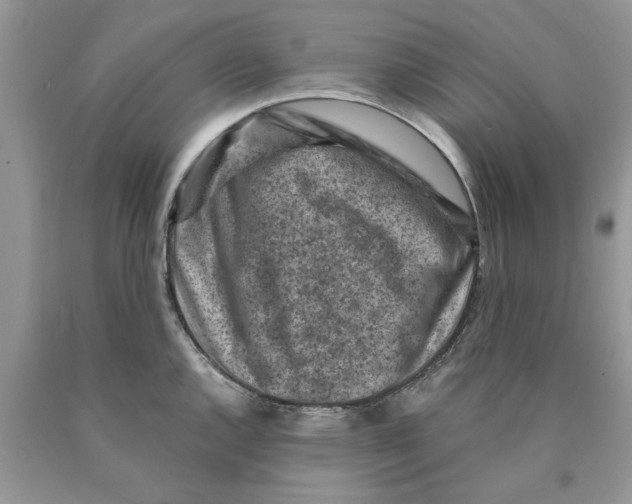 X0000089951144200707271834