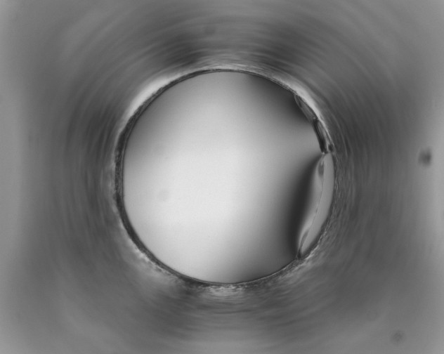 X0000089951147200707271834