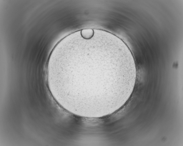 X0000089951150200707271834