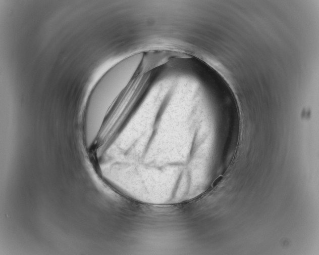 X0000089951152200707271834