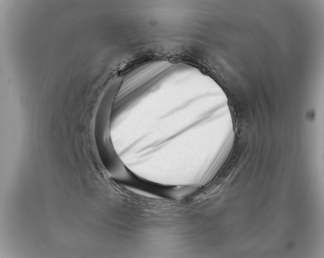 X0000089951153200707271834