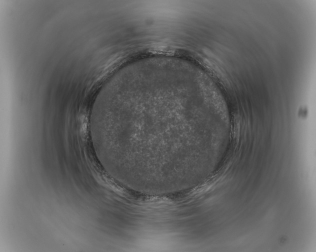 X0000089951154200707271834