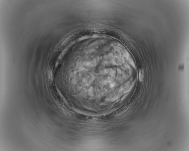 X0000089951155200707271834