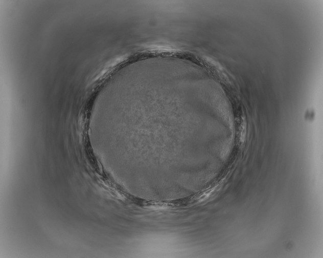 X0000089951157200707271834