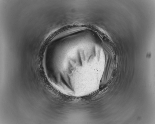 X0000089951160200707271834