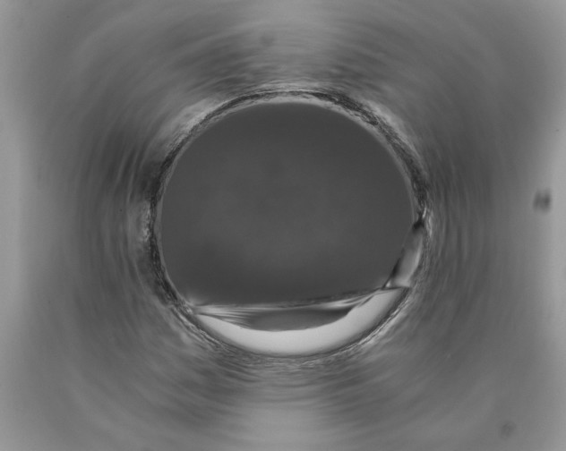 X0000089951161200707271834