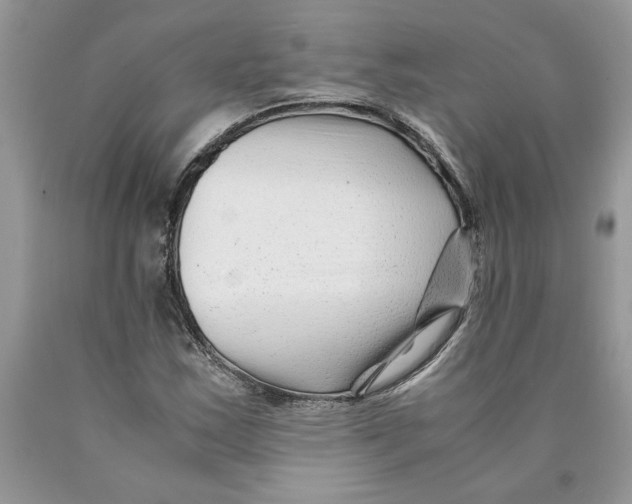 X0000089951163200707271834