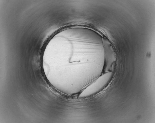 X0000089951164200707271834