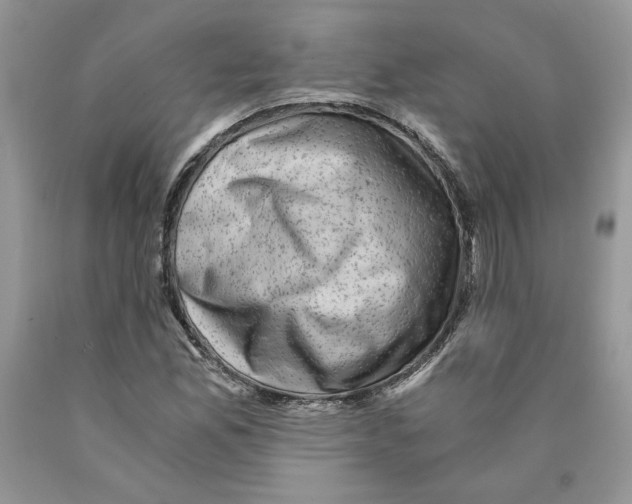 X0000089951165200707271834