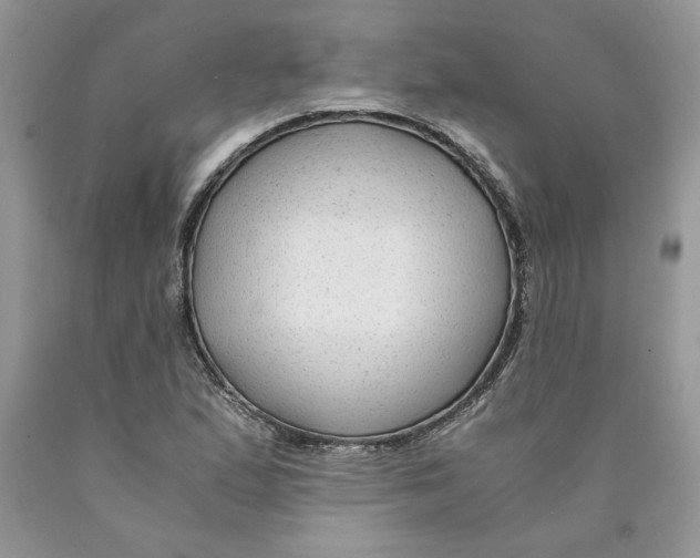 X0000089951167200707271834