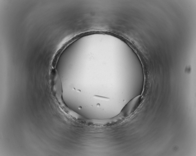 X0000089951168200707271834