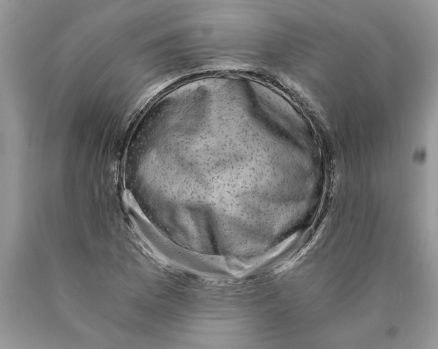 X0000089951169200707271834