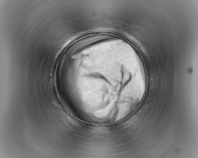 X0000089951170200707271834