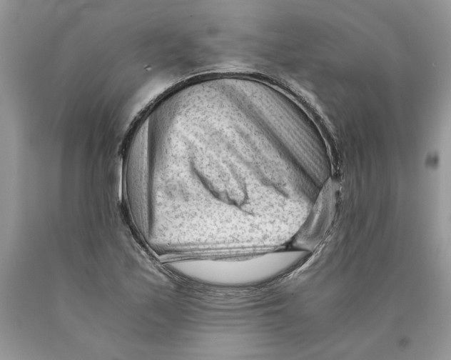 X0000089951171200707271834