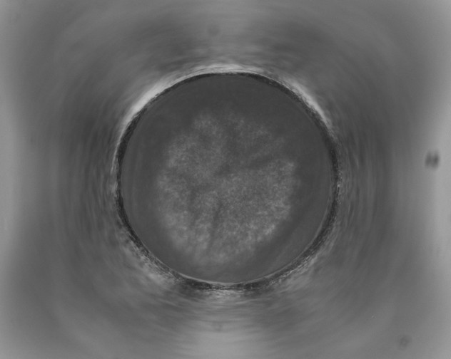 X0000089951173200707271833