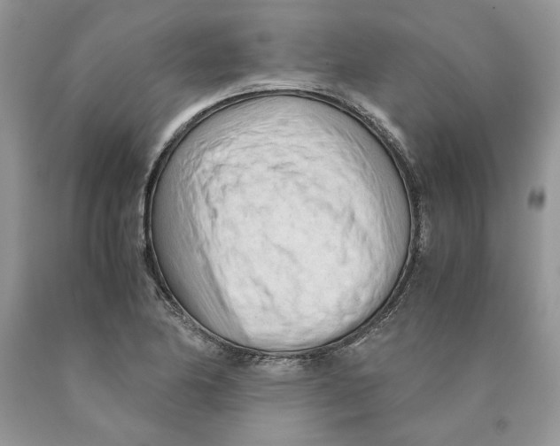 X0000089951174200707271833