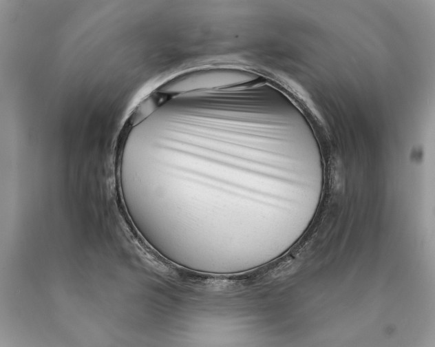 X0000089951176200707271833