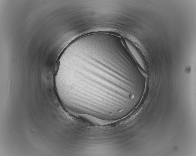 X0000089951177200707271833