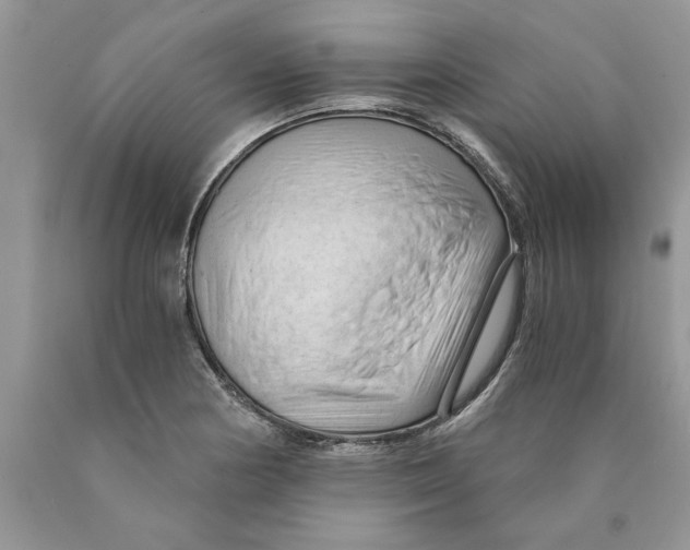 X0000089951178200707271833