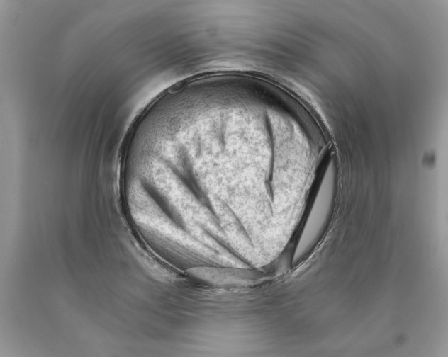 X0000089951179200707271833