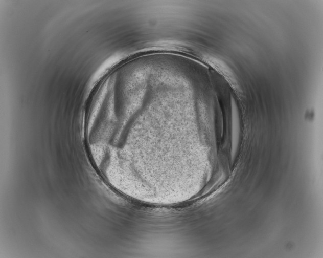 X0000089951180200707271833