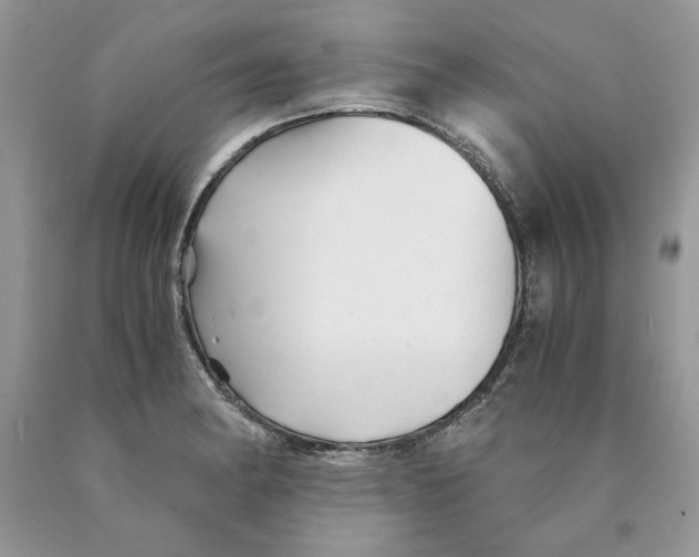 X0000089951182200707271833