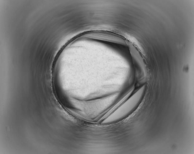 X0000089951184200707271833