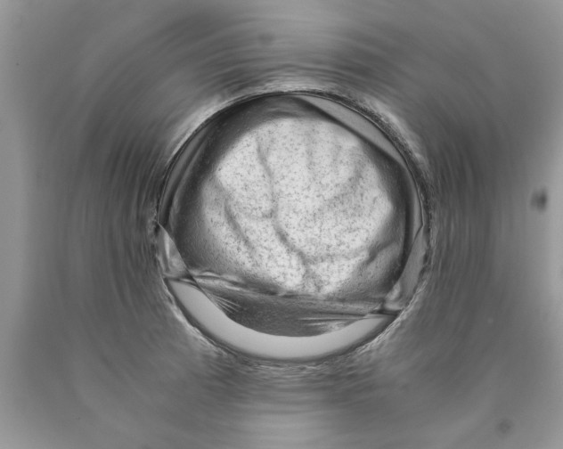 X0000089951185200707271833