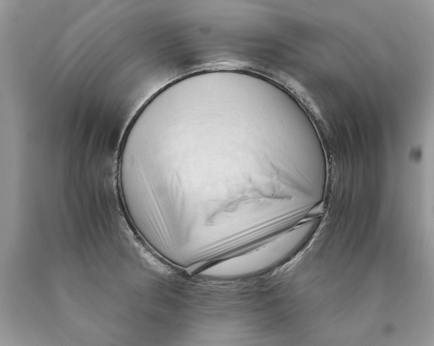 X0000089951186200707271833