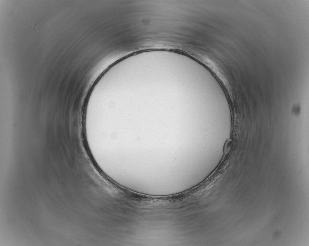 X0000089951187200707271833