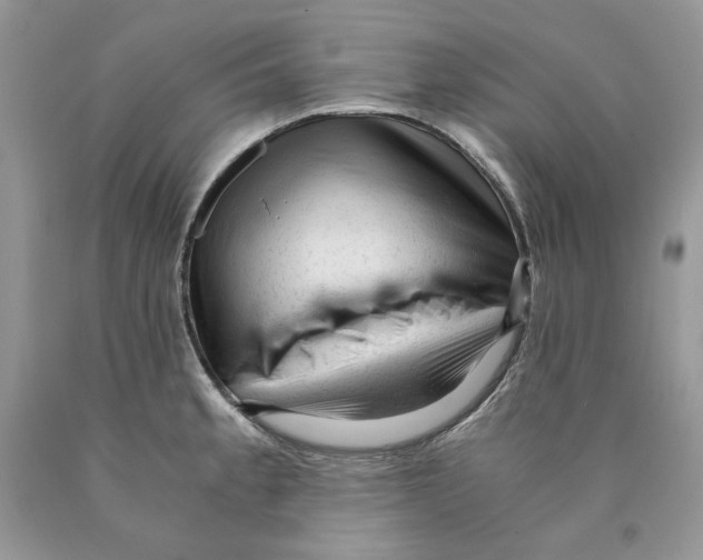 X0000089951189200707271833