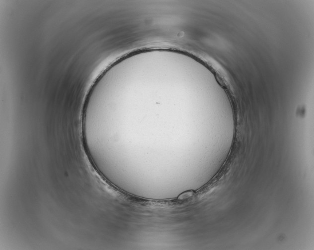 X0000089951191200707271833