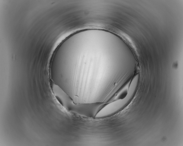 X0000089951192200707271833