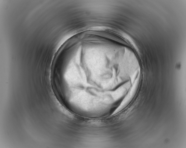 X0000089951194200707271833