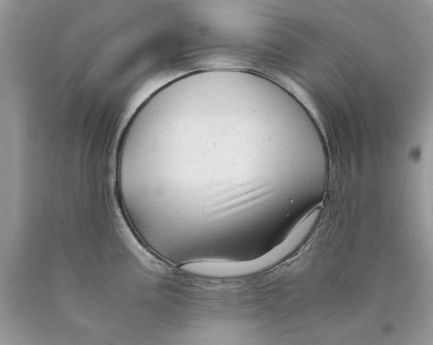 X0000089951195200707271833