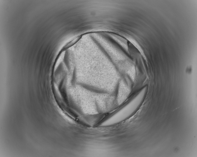 X0000089951197200707271833