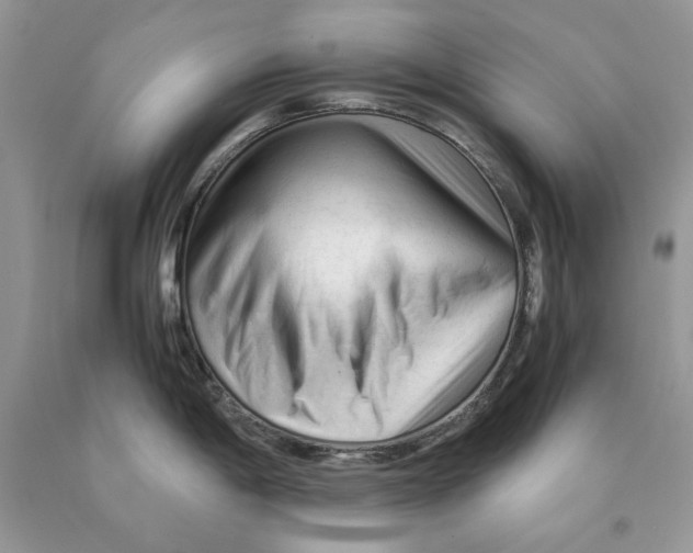 X0000089951198200707271833