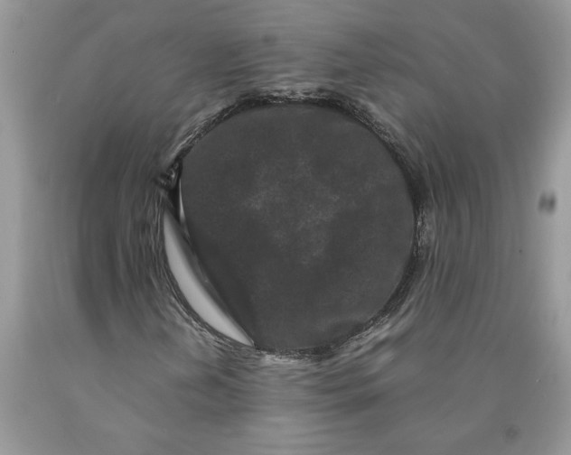 X0000089951202200707271832