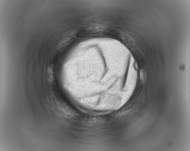 X0000089951203200707271832