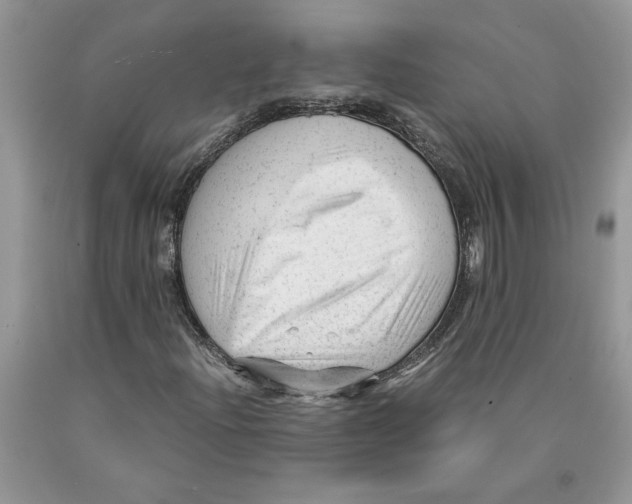 X0000089951204200707271832